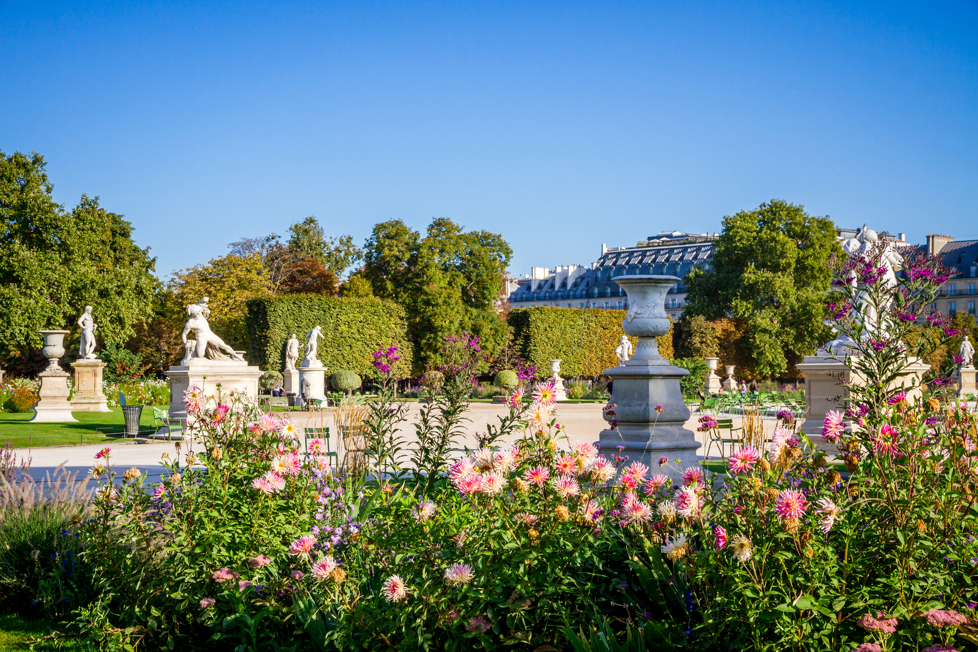 jardin des tuileries in bloom